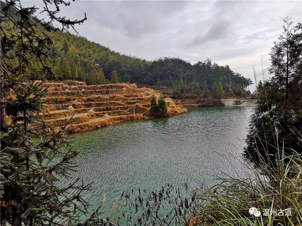 一条密藏于永嘉石染深山的永缙古道