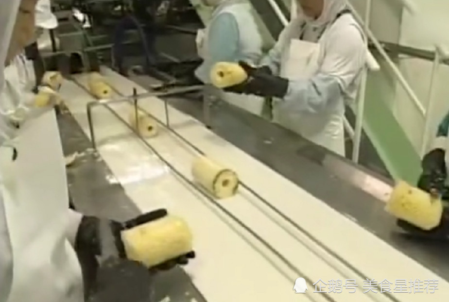 见识下菠萝罐头的生产流水线,简直不要太利索
