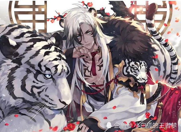 王者荣耀:白虎玄策青龙铠皇,四象皮肤被占领,木