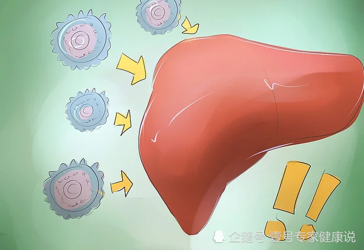 养肝、护肝吃什么保健品?中西医都证实:这种食