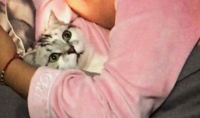 640