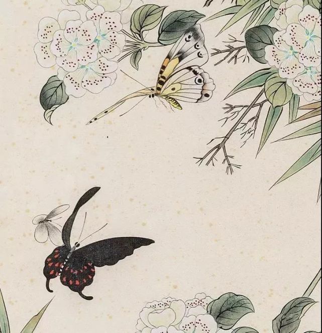 收藏!国画蝴蝶纸上来……感觉蝴蝶在动,太逼真了!