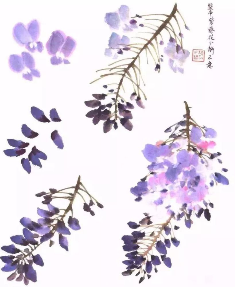 紫藤花的画法(视频)