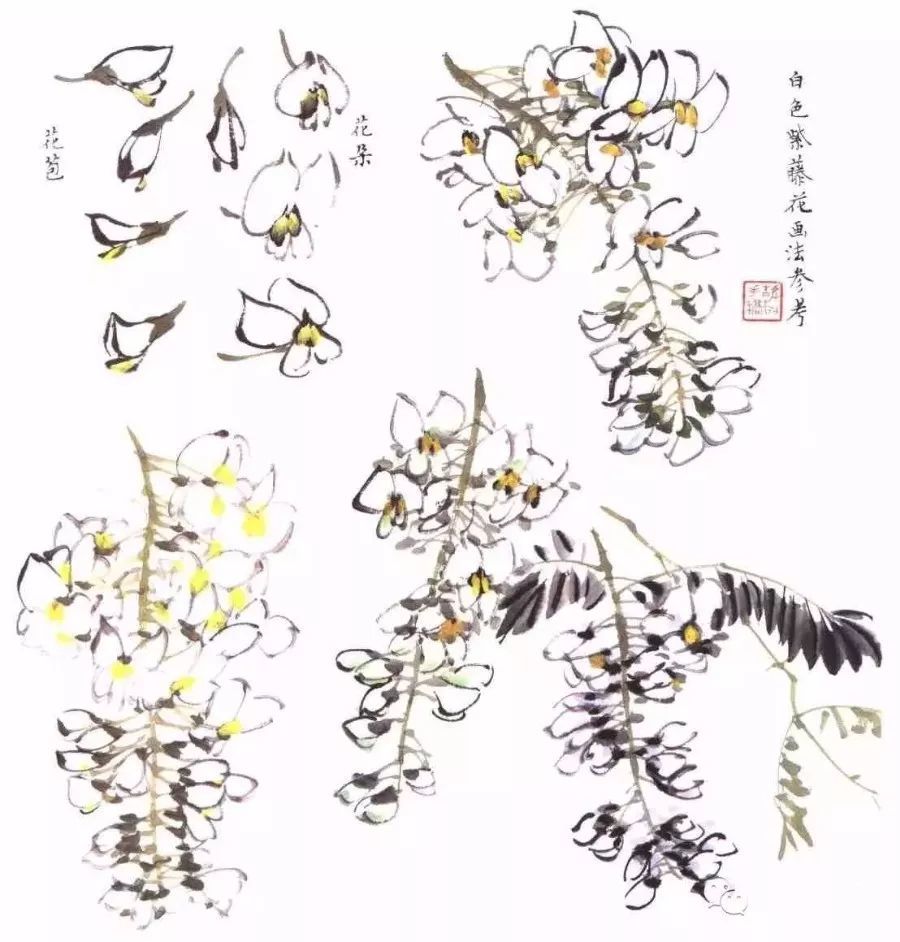 紫藤花的画法(视频)