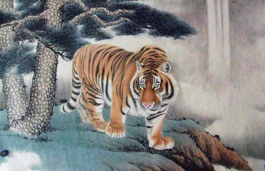2019年属虎的人运势运程:事业步步高升,财运平平