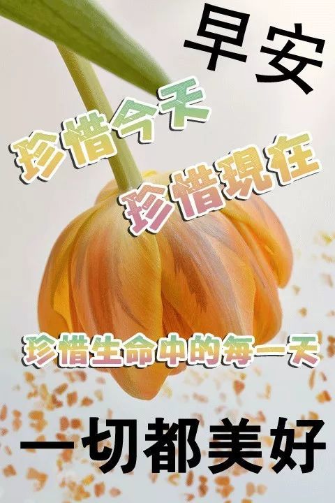 3月26日群发清晨早上好问候祝福动态表情图片早安问候语及暖心的话