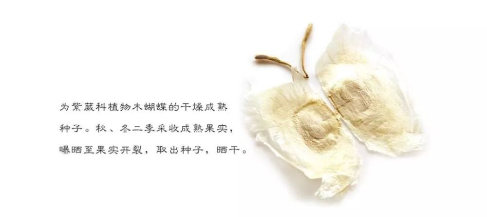 中药学堂木蝴蝶
