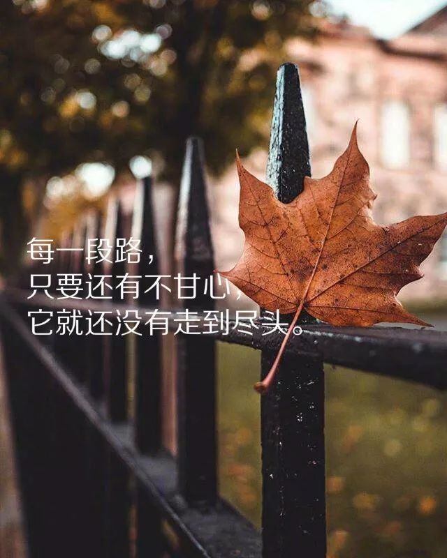 不过是在深夜咽下一肚子的心酸和委屈,清晨擦干眼泪,披上铠甲继续生活