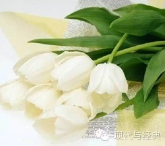 朱永新:好教师应善于认识自己