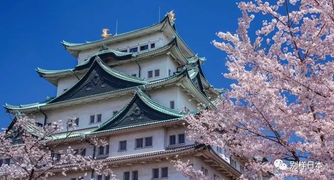 2019日本赏樱时间表来了