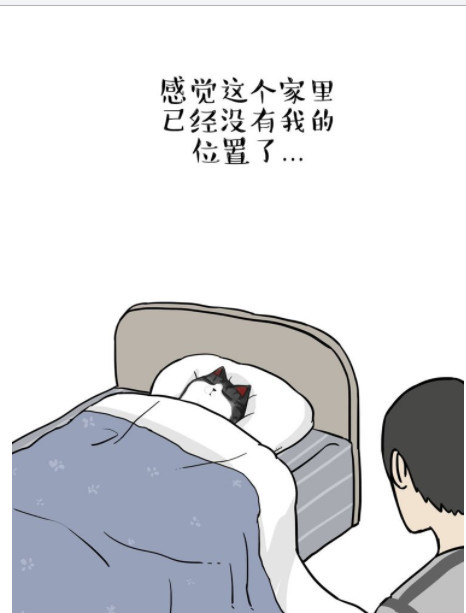 搞笑漫画:是谁让今夜少年无法入睡?