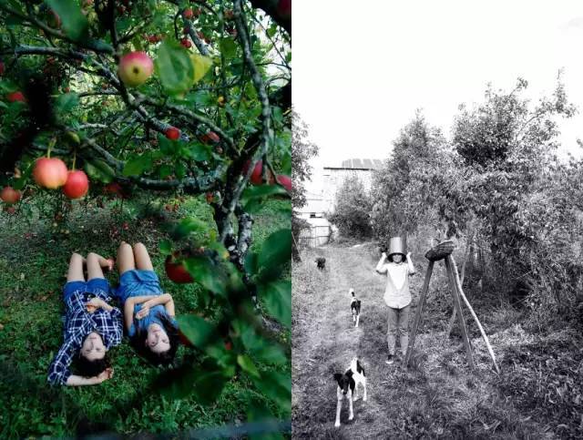 她离异又再婚,带着8个孩子20条狗,去乡下做农