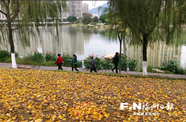 福州琴亭湖公园打造最美赏叶季