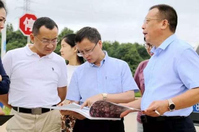 市政协委员唐曙光:建立湖南木材中心 推动林木