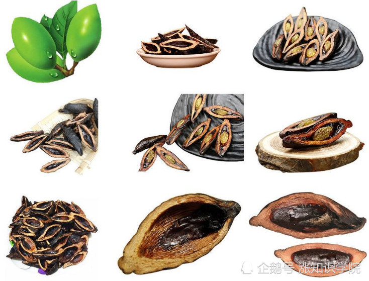 槟榔真正的可怕之处在这里,南方人最好还是不