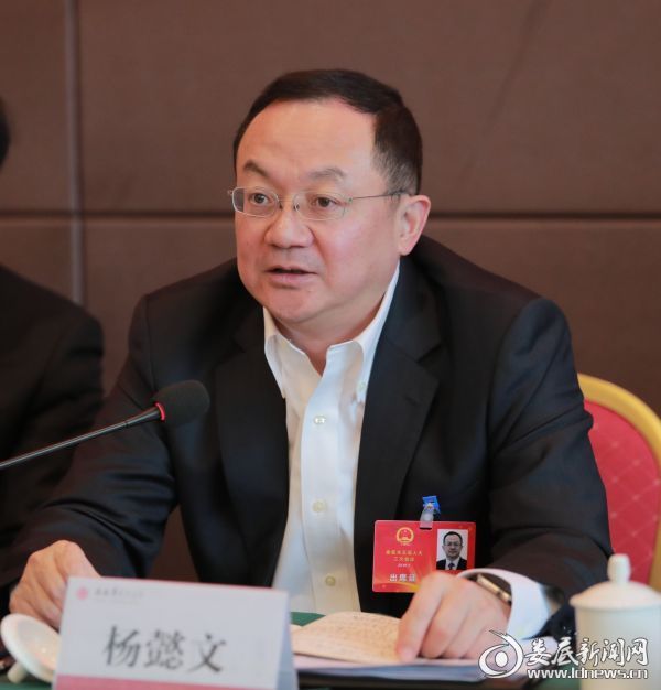 杨懿文参加双峰县代表团讨论:立足优势 向农业
