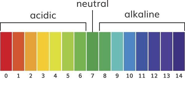 641