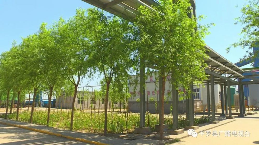 宁夏平罗县的gdp_宁夏平罗县谢生良