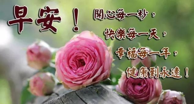 3月3日周三早安问候语,祝大家天天开心!