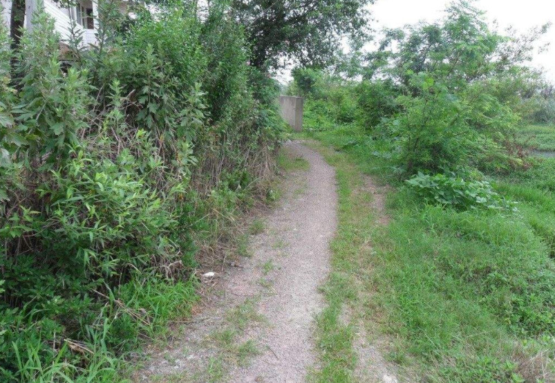 草什么门成语_草什么花什么成语