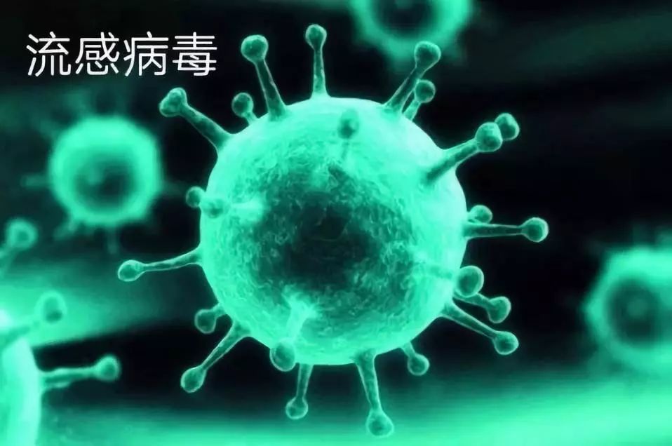 全家感冒?应如何区分感冒和流感