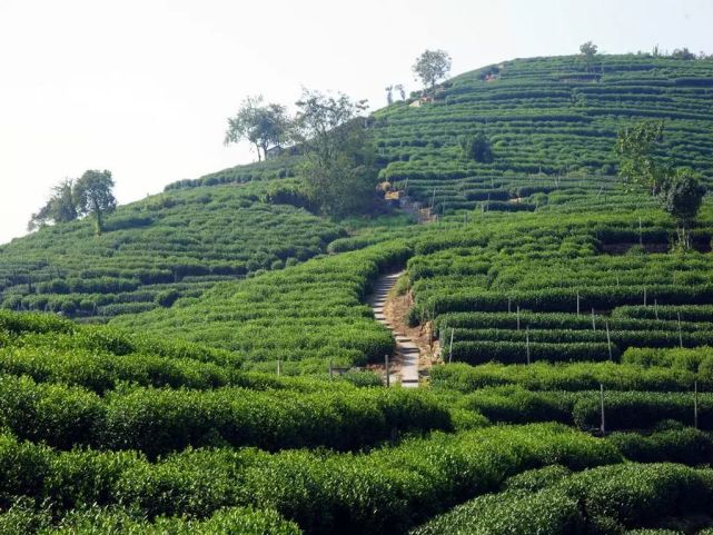 2019年杭州最美旅游时间表出炉 承包你一整年