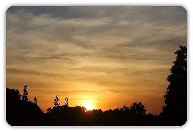 懒病难治!请问如何对治修行中的懈怠?