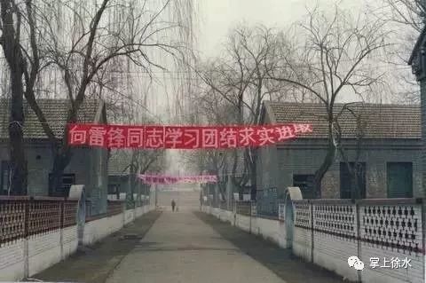 徐水人口有多少_徐水一中图片
