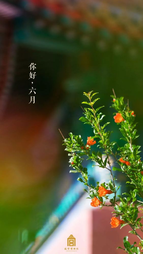 六月六日,芒种.心静自然凉.