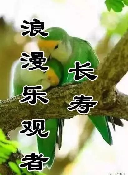 亲爱的朋友早上好,清晨温馨的问候送给你,祝福你天天开心快乐
