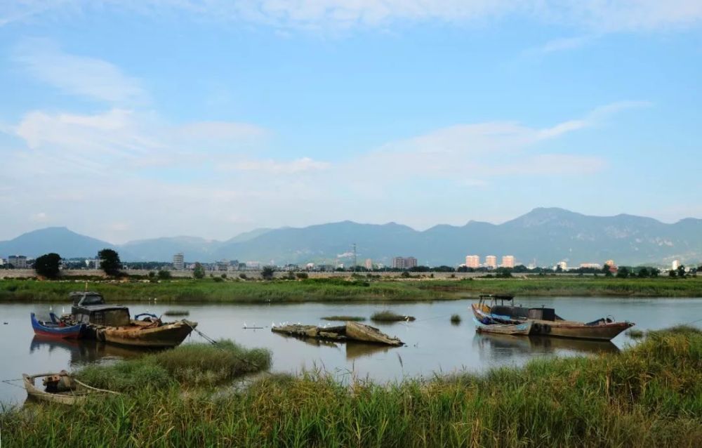 陈勋/摄"上下天光,一碧万顷;沙鸥翔集,锦鳞游泳.