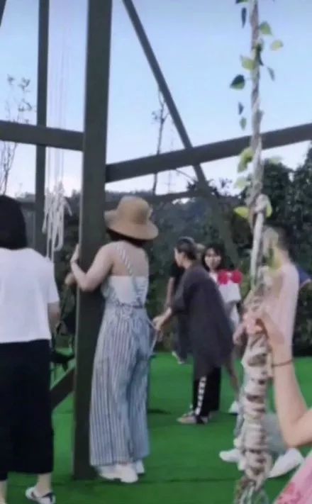 杨紫背影照被吐槽胖一圈!陈意涵的孕肚哪去了?