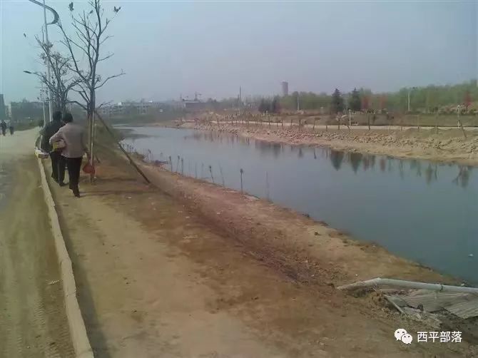 西平县多少人口_西平县地图