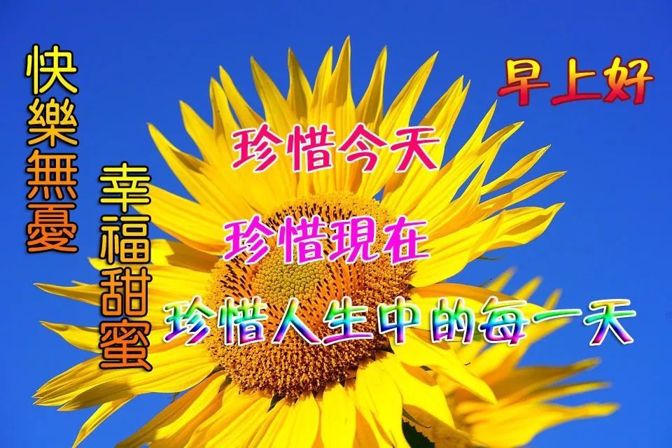 2019最新群发清晨早安问候动态表情图片 ,早上好温馨问候动态表情图片