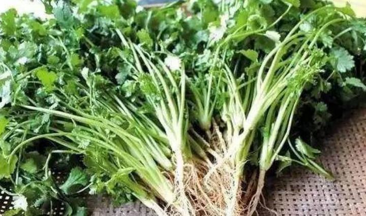 天然的退烧药找到了,常用此物煮水,止咳祛痰