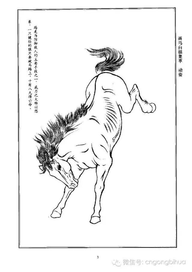 书画联盟丨画马白描集萃