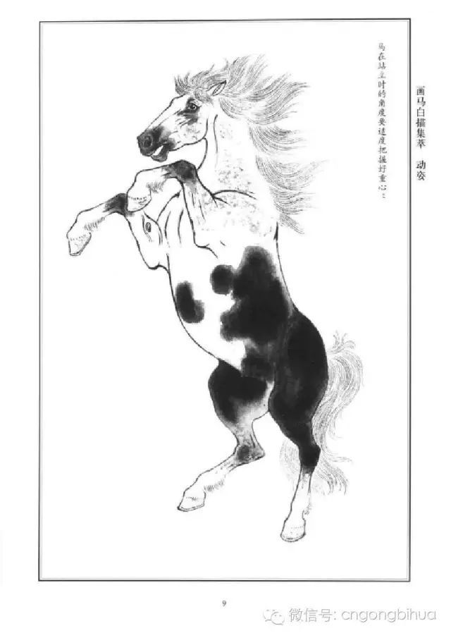 书画联盟丨画马白描集萃