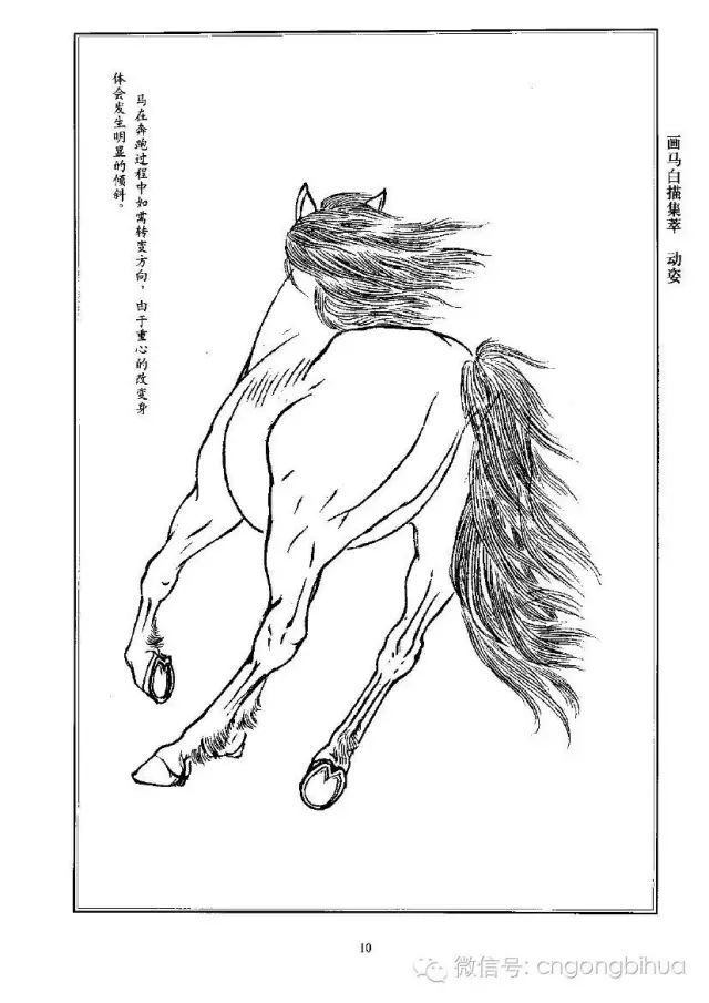 书画联盟丨画马白描集萃