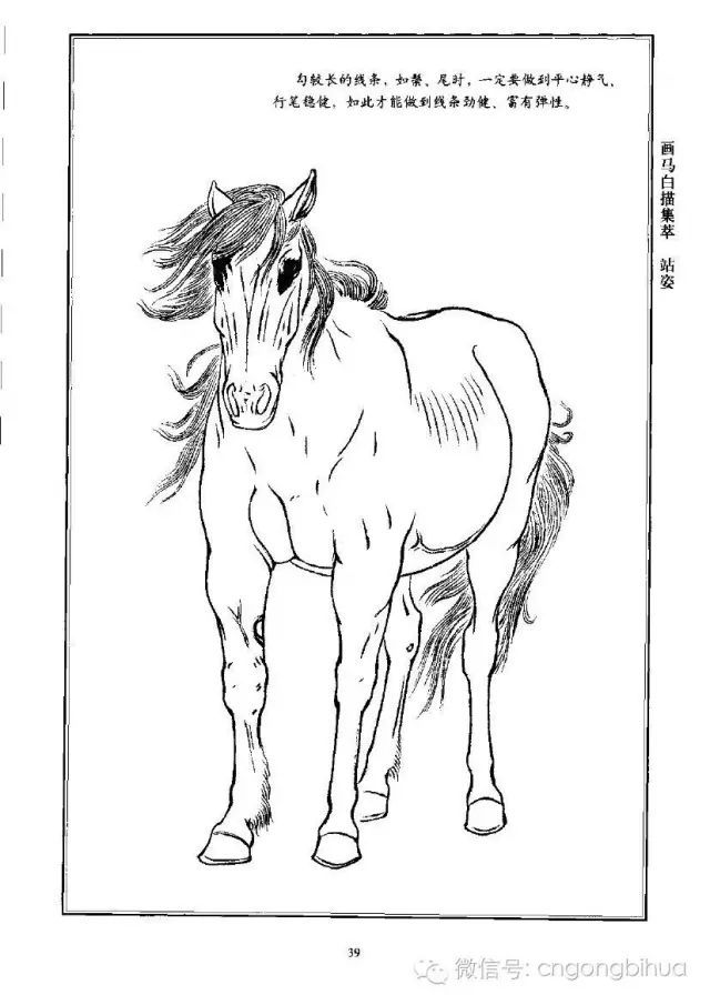 书画联盟丨画马白描集萃