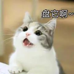合集 盘他表情包