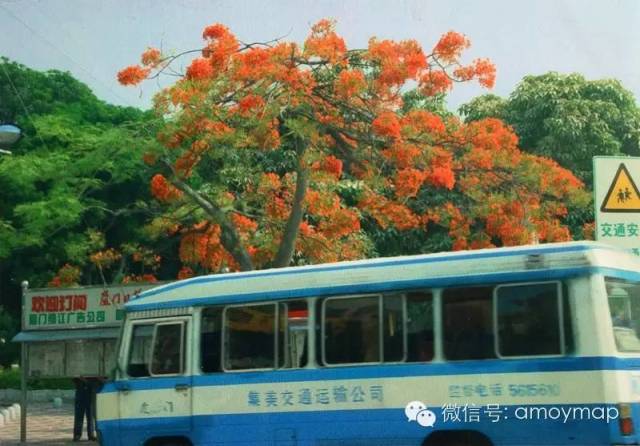 老三轮车、公交车、小巴票,这些只有老厦门才