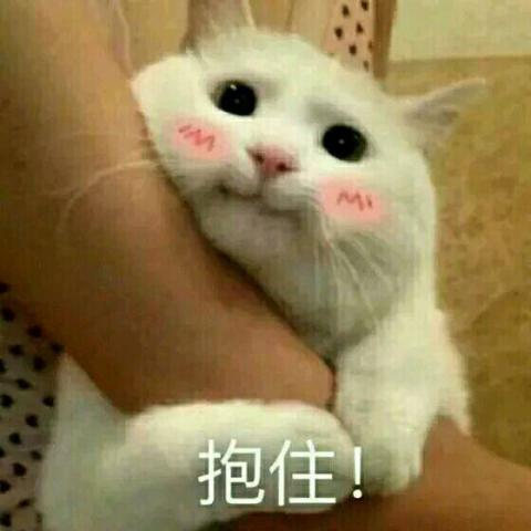 最全微信女生!让你和心神不再尬聊探城表情地下表情包读图片