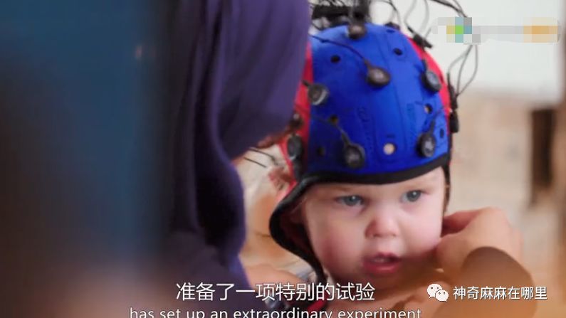 颠覆认知:2岁前看似啥都不懂的宝宝,心里活动