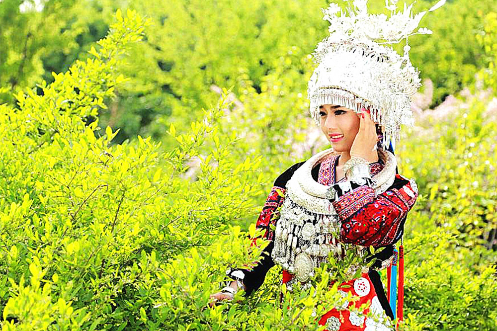 汉族男子若想要娶苗族女孩,苗族姑娘表示:需要