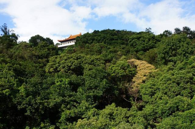 环球旅行家神威带你去台湾阳明山看日出