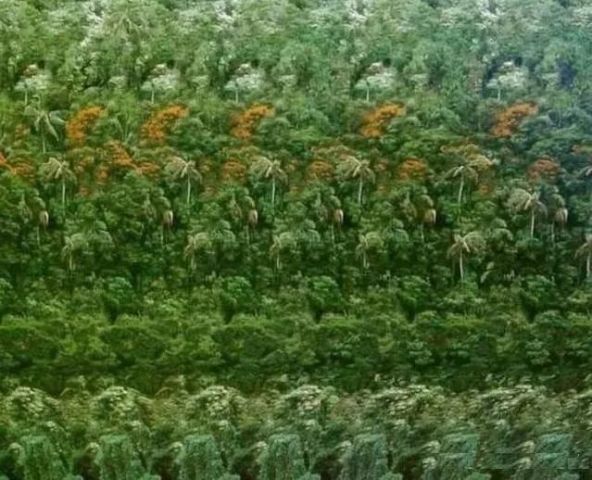 考眼力测试:图中有几个人你能看出来吗?说一下吧