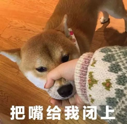 今日份gif舔狗表情包:我心爱的狗东西在吗?