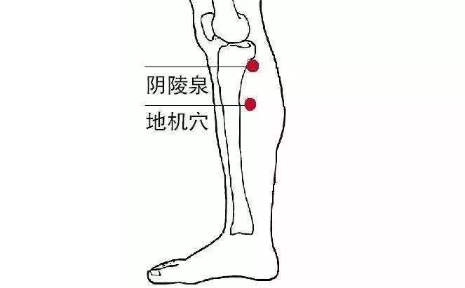 太冲穴