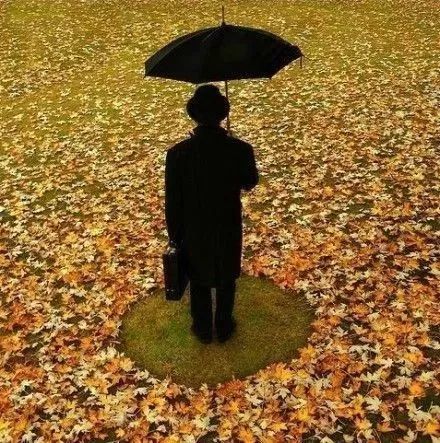 茫茫人海中,懂你的人,又有几个呢?