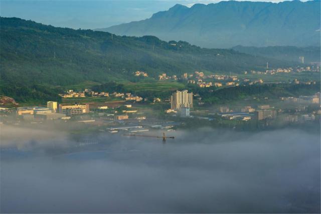 雅安雨城区人口_雨城人,2019年雨城中心城区小学开始招生啦 你想知道的都在这